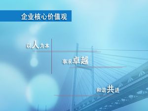 企業(yè)價(jià)值觀